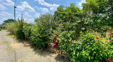 SE VENDE FINCA EN BELLAVISTA
