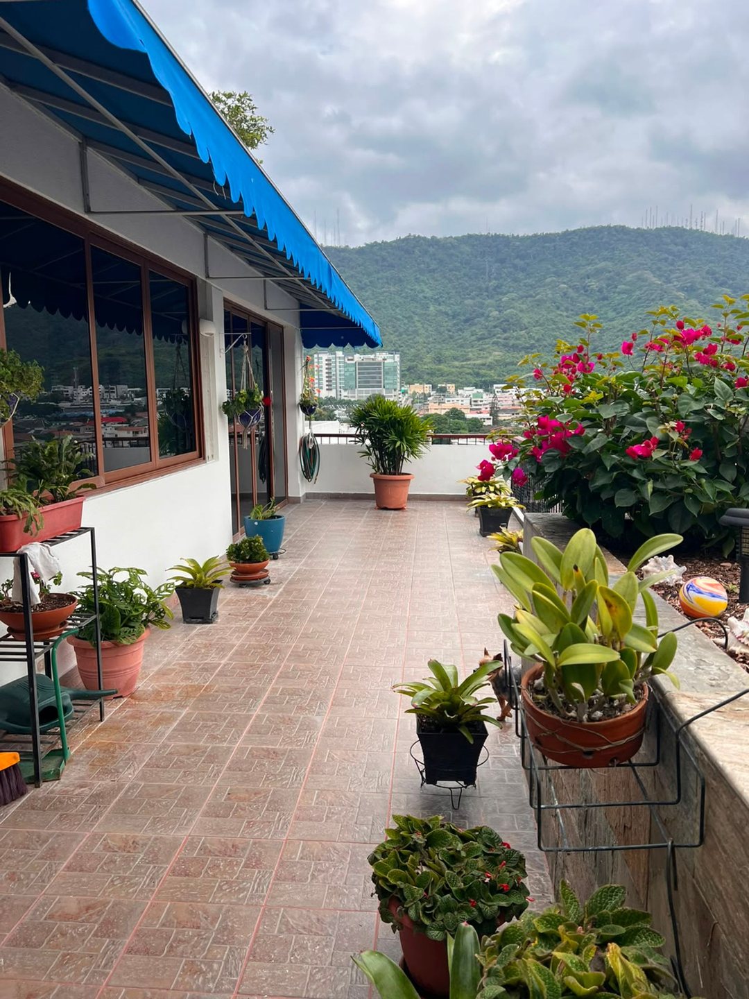 Departamento en venta en Tarqui