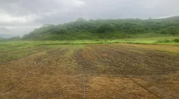 VENDO TERRENO DE 6.76 HA VIA ROCAFUERTE - MANTA