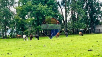 OPORTUNIDAD ÚNICA DE INVERSIÓN EN AMAGUAÑA, 8 HAS