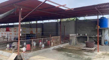 Galpón para criadero de pollos EN SANTA ROSA