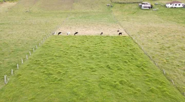 SE VENDE TERRENO DE 1 HECTAREA EN TARQUI - CUENCA