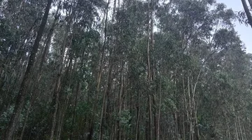 TERRENO EN VENTA 2059M2 EN UYUMBICHO