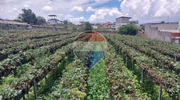 TERRENO EN VENTA ASCÁZUBI 2.880 m2 CAYAMBE