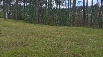 TERRENO EN RENTA 6000 M2 SECTOR UYUMBICHO