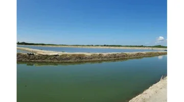 Vendo 2 Camaroneras En Isla Puna De 23 Y 50 Ha.