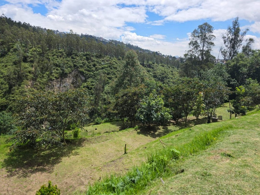 Casa en alquiler en Nayón