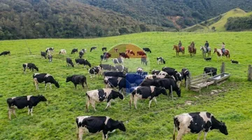 Hacienda Ganadera Sector Victoria del Portete