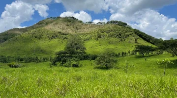 hacienda ganadera de venta en flavio alfaro