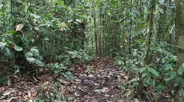 FINCA DE 18,7 HECTÁREAS EN VENTA